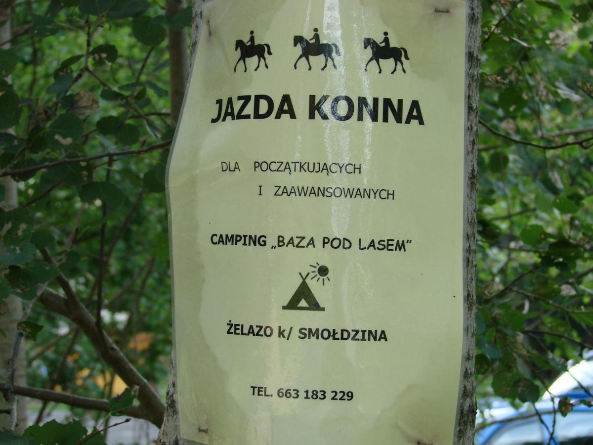 Agroturystyka Pod Kogutkiem Czysta Экстерьер фото