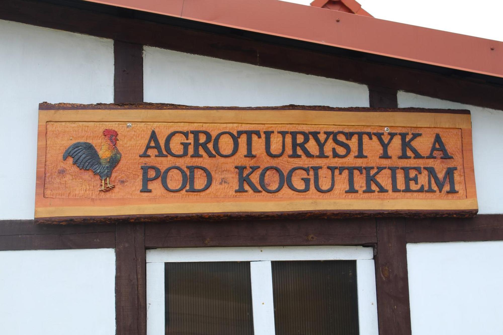 Agroturystyka Pod Kogutkiem Czysta Экстерьер фото